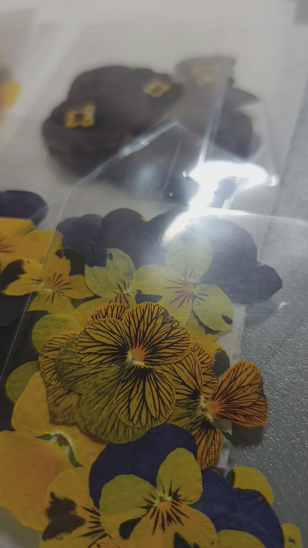 1000 Organic Hand Pressed Pressed Edible Pansy Flowers